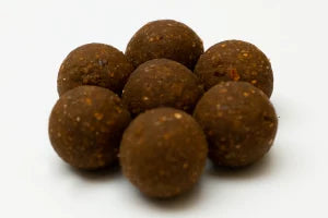 Karpfen-Boilies – Spicy Squid & Krill