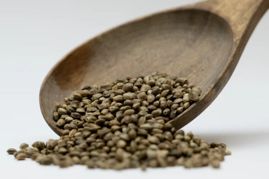 Hempseed