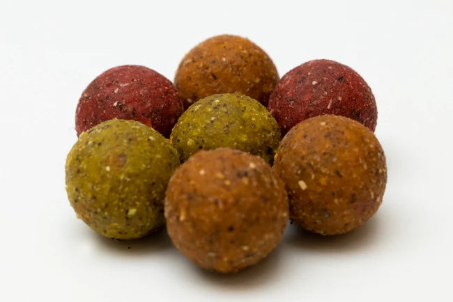 Karpfen-Boilies Mix zum Top-Preis
